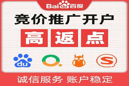 SEM搜索引擎优化：广告创意的策划与执行